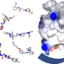 The Computer Aided Drug Design Process Explained