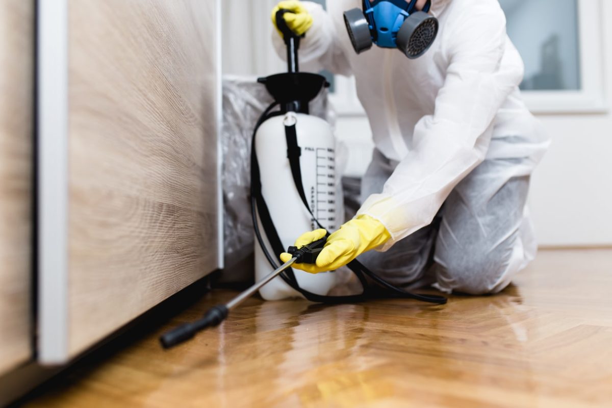 PEST CONTROL